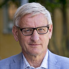Carl Bildt