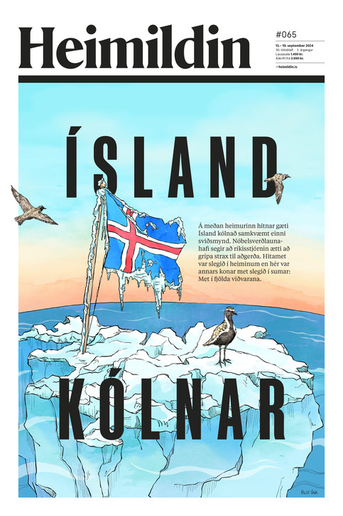 Stundin - Blað #232