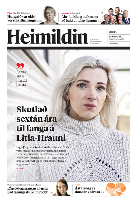 Stundin - Blað #171