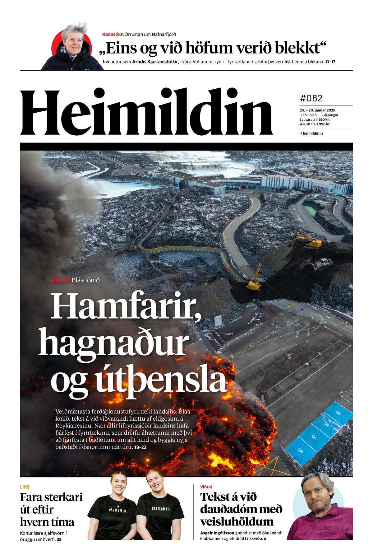 Heimildin #82