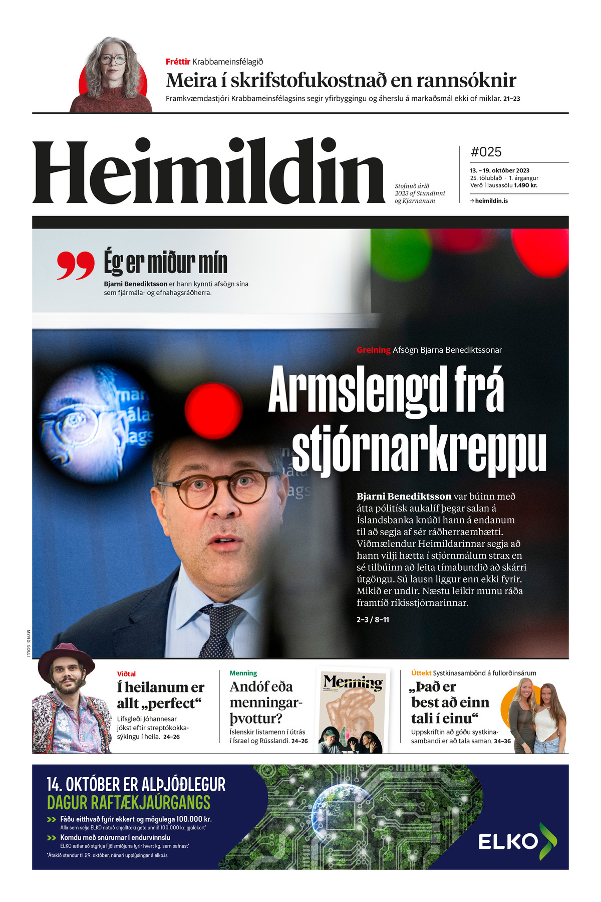Heimildin #25