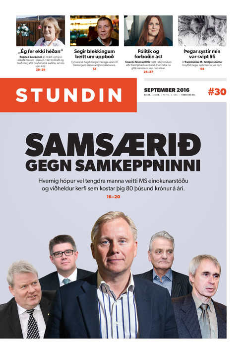 Stundin - Blað #30