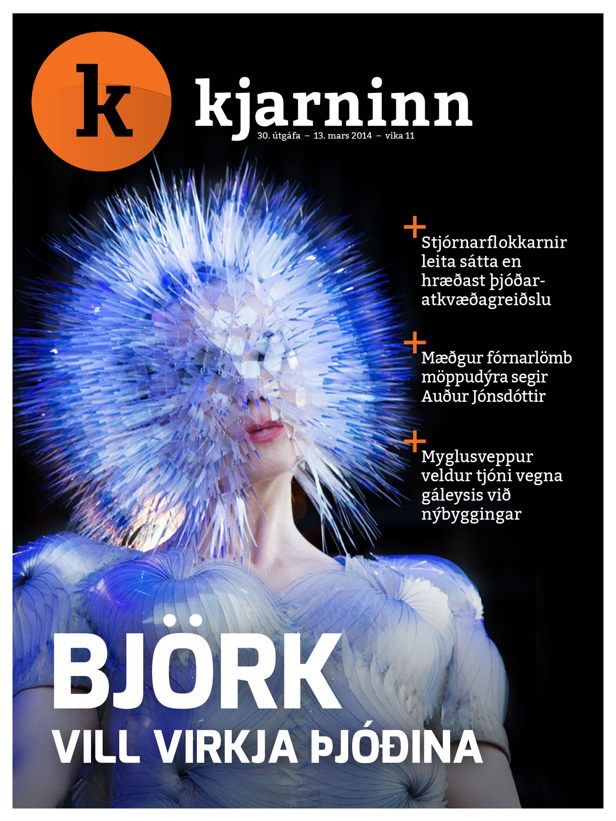 Kjarninn #30