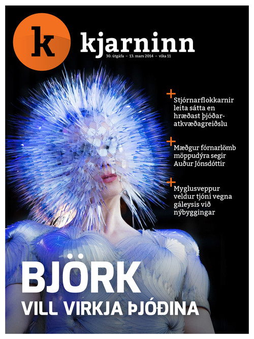 Stundin - Blað #295