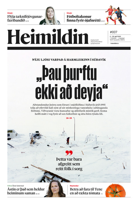 Stundin - Blað #173