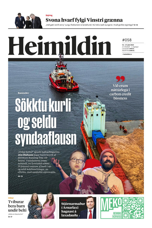 Stundin - Blað #225