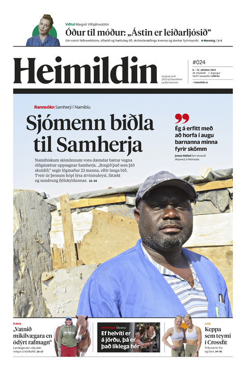 Stundin - Blað #191