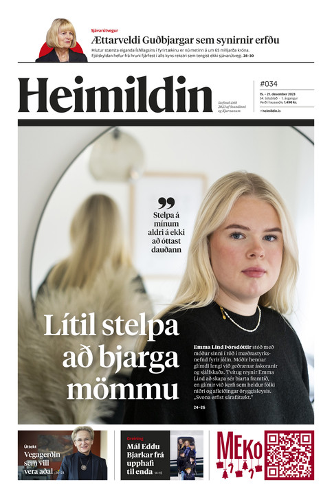 Stundin - Blað #201