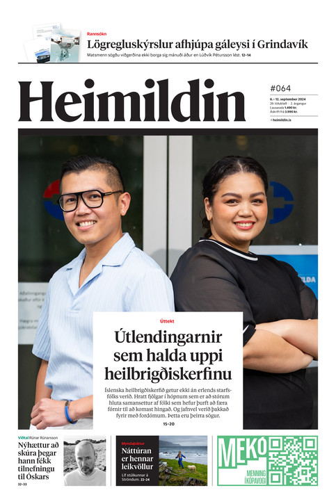 Stundin - Blað #231