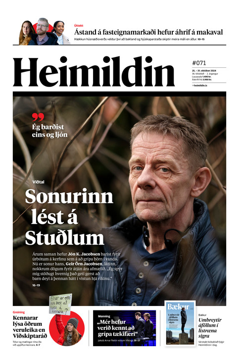 Stundin - Blað #238