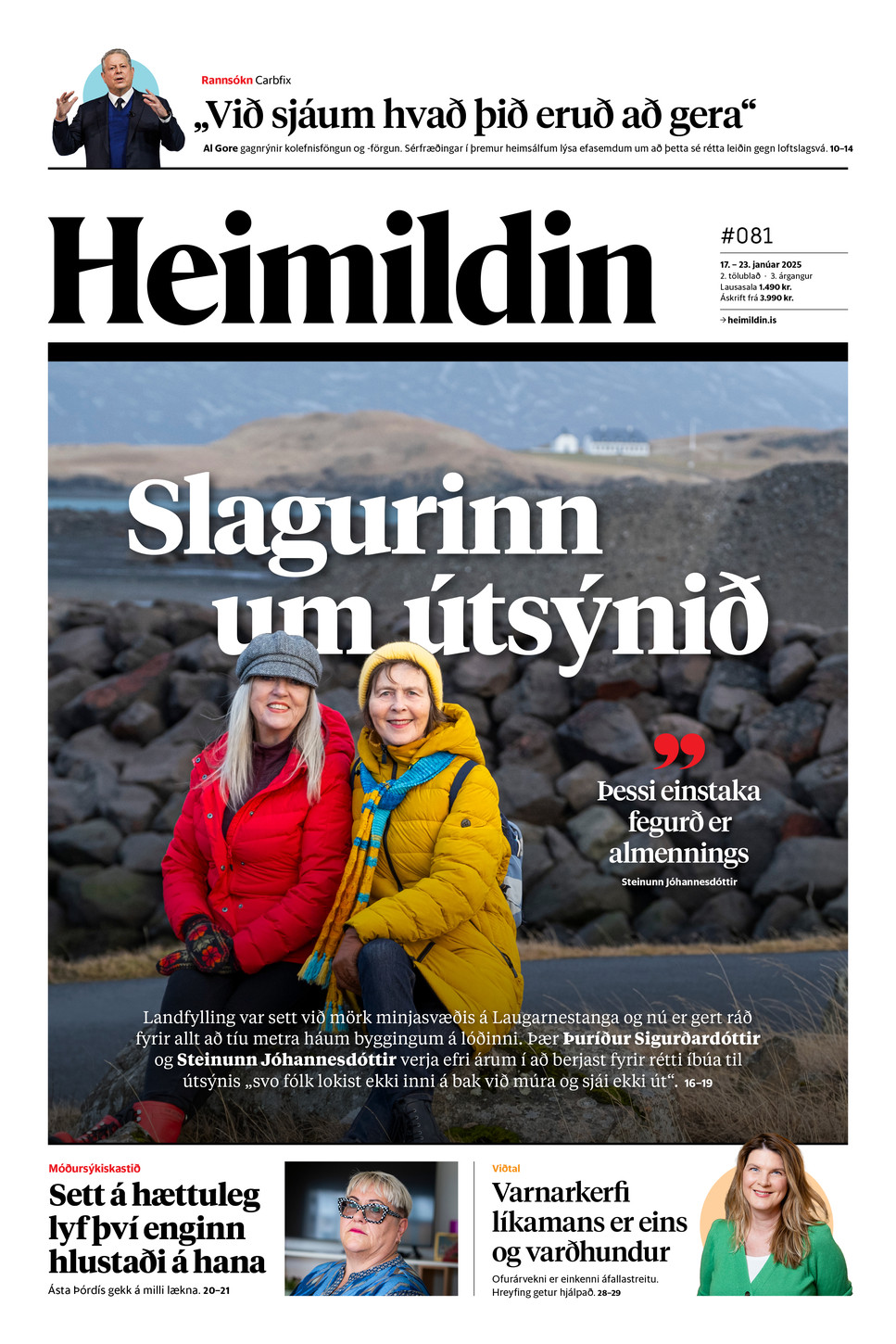 Stundin - Blað #268