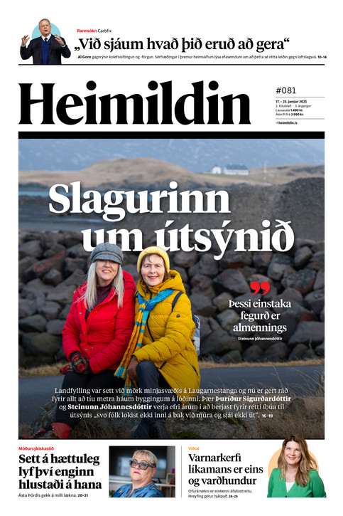 Stundin - Blað #268