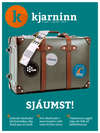 Stundin - Blað #298