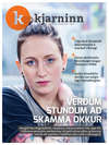 Stundin - Blað #291