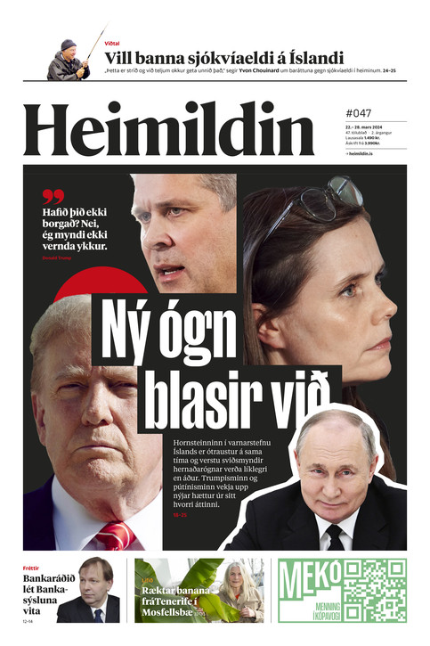 Stundin - Blað #214