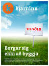 Stundin - Blað #319