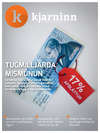 Stundin - Blað #288
