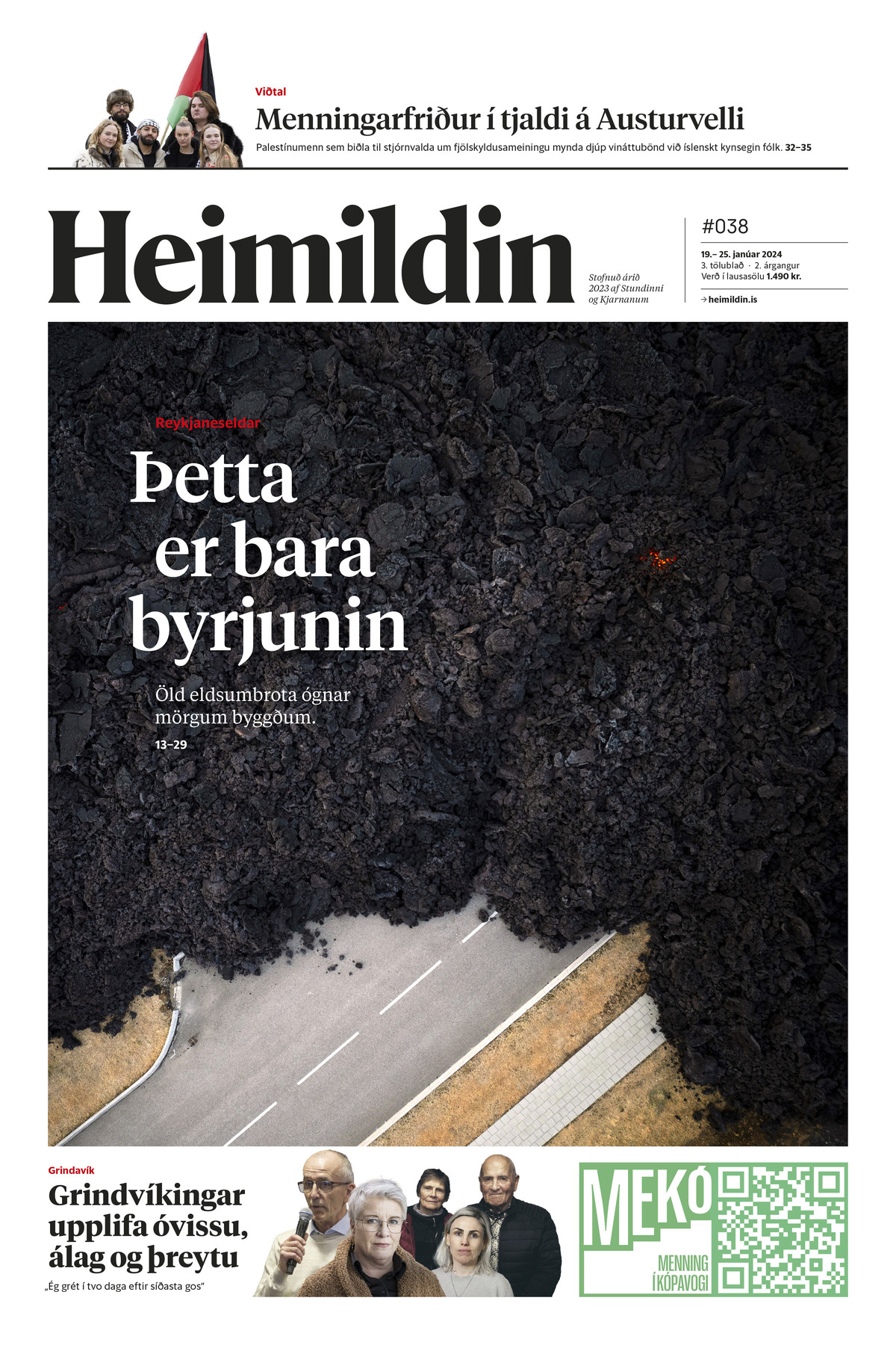 Heimildin #38