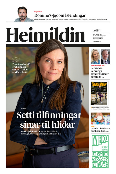 Stundin - Blað #221