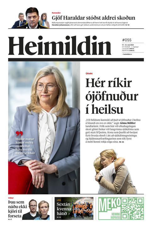 Stundin - Blað #222