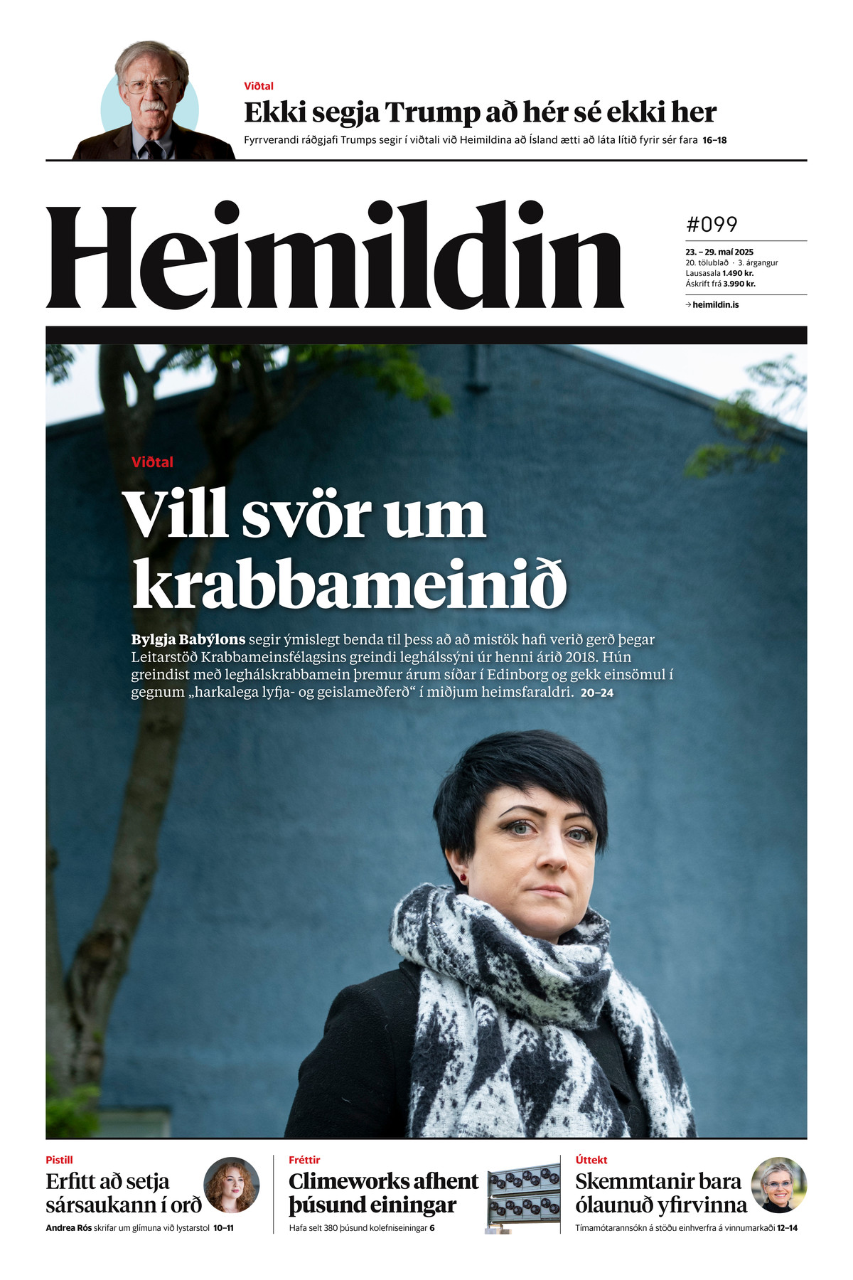 Heimildin #99