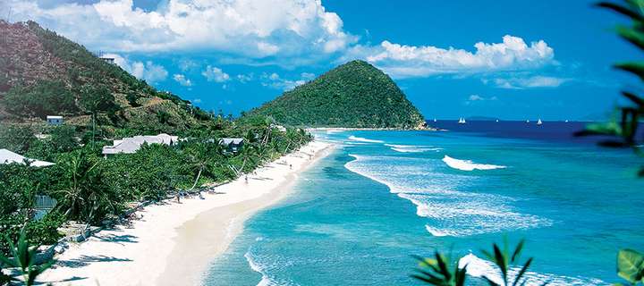 SALEK og Tortola