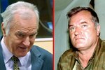 Réttlætið náði Mladic
