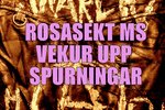 Risasekt MS lækkuð - Spurningar vakna