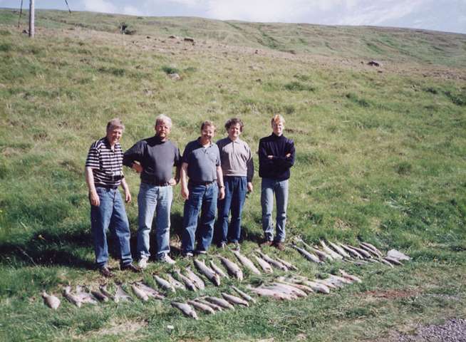 Hæstiréttur-formregla brotin