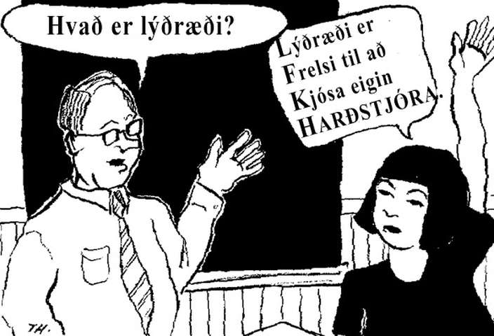 Tekur því að vera með lýðræði?