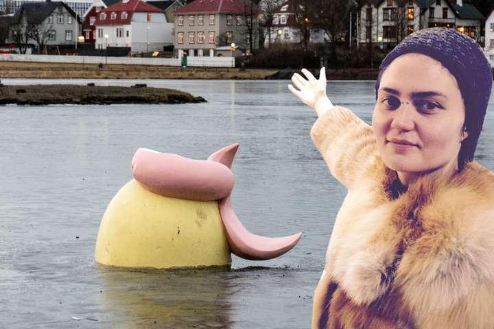 Litla hafpulsan aflimuð í nótt: „Kannski var þetta bara of mikil ögrun“