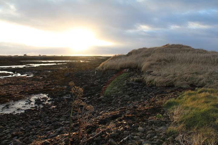 Menningarlegt stórslys að eiga sér stað við Íslandsstrendur