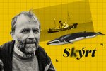 Stöðugur ótti vegna hvalveiða sem reknar eru með milljarðs tapi