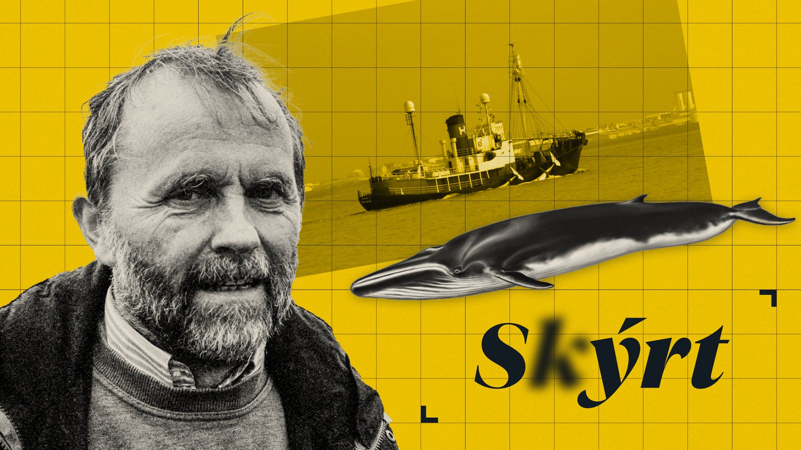 Hvað stendur til hjá Carbfix? - Heimildin