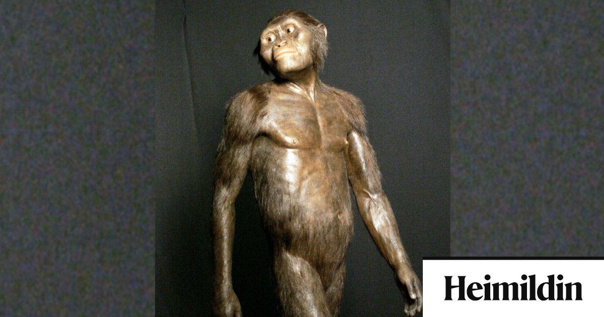 1039. spurningaþraut: Hvað þýðir M-ið í nafni Agnesar biskups? - Heimildin