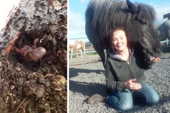 Óvænt líf fannst í blómapotti