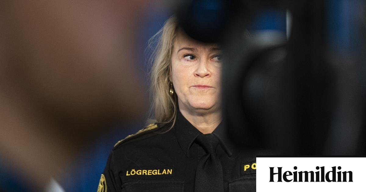 Ríkislögreglustjóri hættir í embætti