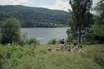 Nasistar og nútíminn á hvíta tjaldinu