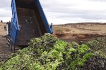 Terra ætlar að axla ábyrgð fjórum árum eftir brot