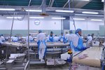 Græða fimmtán milljarða - segja upp 86 í láglaunastörfum