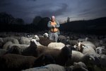 Virkar vel fyrir ríki með veika stjórnsýslu