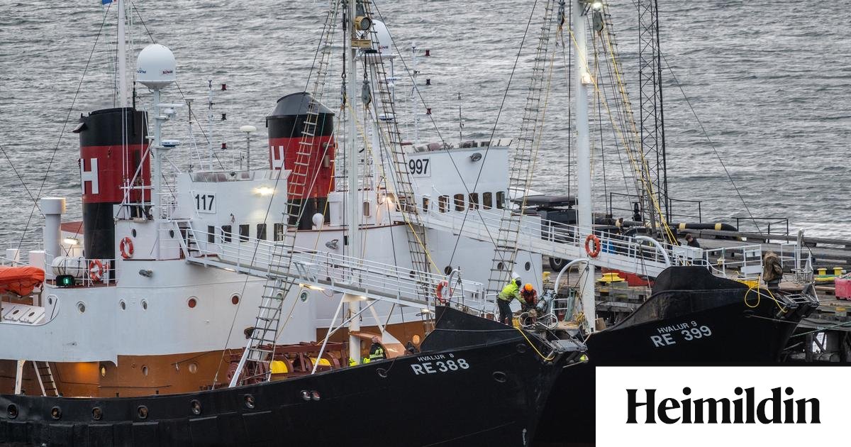 Hvalskipin ekki mátt sigla síðan í júní 2024