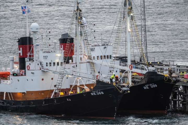 Hvalskipin ekki mátt sigla síðan í júní 2024