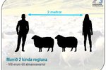 Smalar gætu mögulega þurft að gista í tjöldum