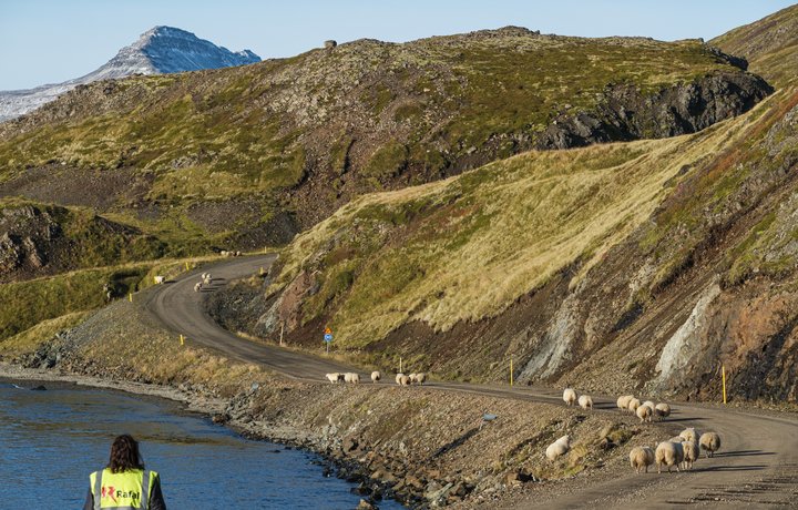 Eftirlegukindur  Árneshrepps