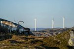 Víti til varnaðar: Norsku vindorkuverin sem trufla hreindýrin