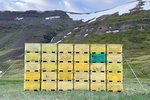 Stór, marglaga og víðfeðm samsýning