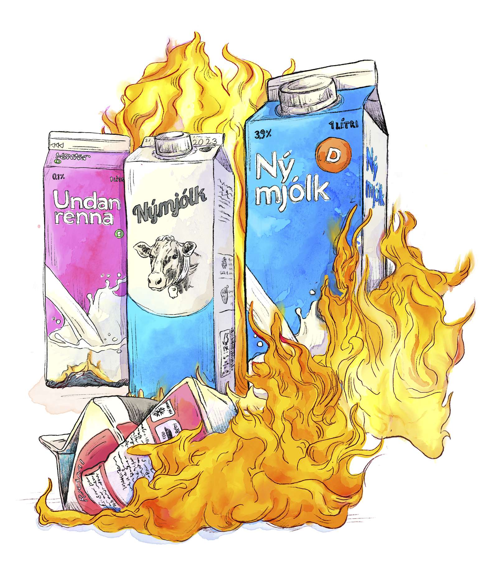 Neytendur blekktir til að flokka fernur sem eru brenndar - Heimildin