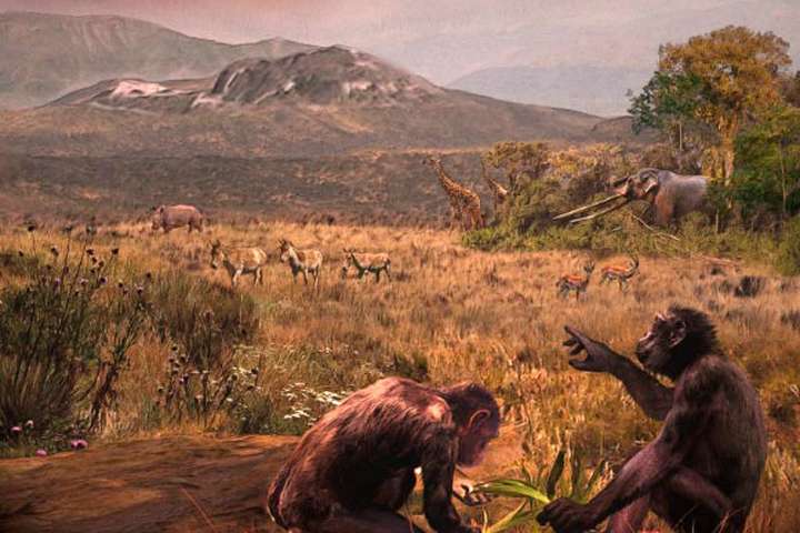 Er maðurinn þá upprunninn í Evrópu eftir allt saman?