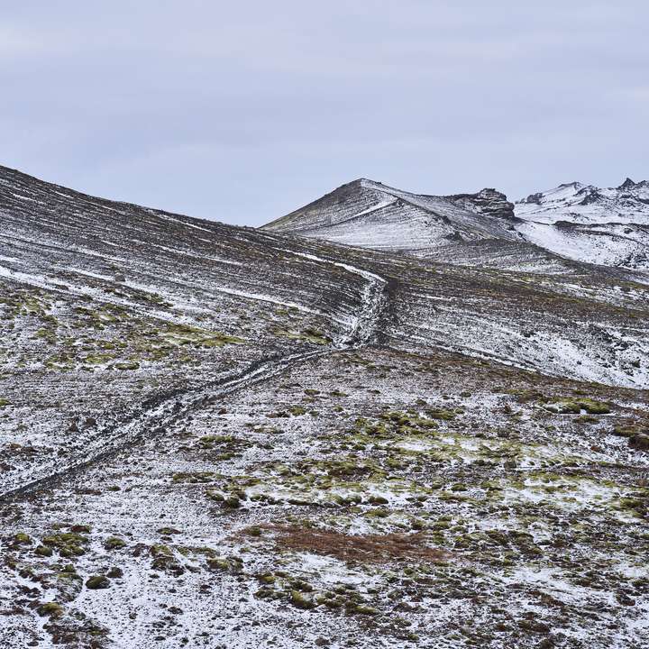 Skjálfandi jörð